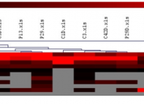 Peritonitis in CAPD patients – a proteomics analysis