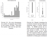 Evolutionary indel constraints in intronic regions studied within the 1000 Genomes Project