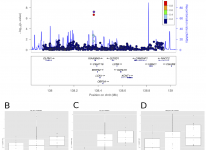 Identification and characterisation of genetic components responsible for chromatin quantitative traits