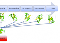 The influence of protein dynamics on structural alignments